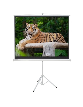 Pantalla Proyector Manual Audiotek MKZ-PANTA72TRIP