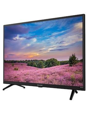 Pantalla Smart TV Sharp LED de 32 pulgadas HD 2T-C32CF2UR con Roku TV