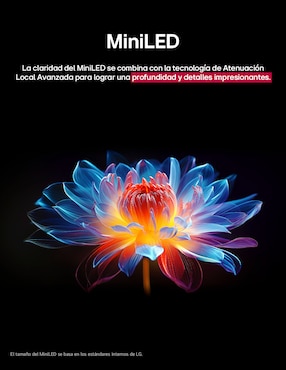 Pantalla Smart TV LG QNED de 65 pulgadas 4K 65QNED9MASA con evo AI True Wireless