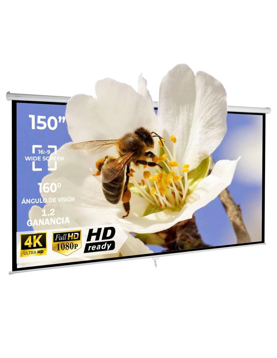 Pantalla proyector manual mkz-panta150mbla 6