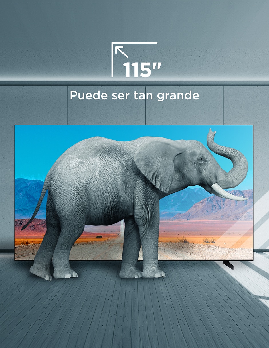 Pantalla Smart TV QD- mini LED de 115 pulgadas 4K/UHD 115QM891G con Google TV 6