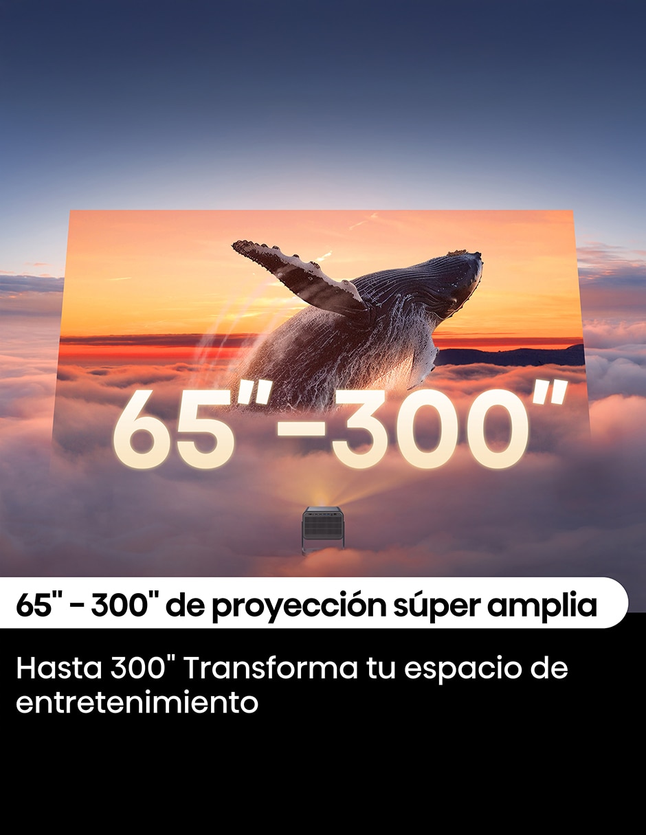 Proyector C2 11