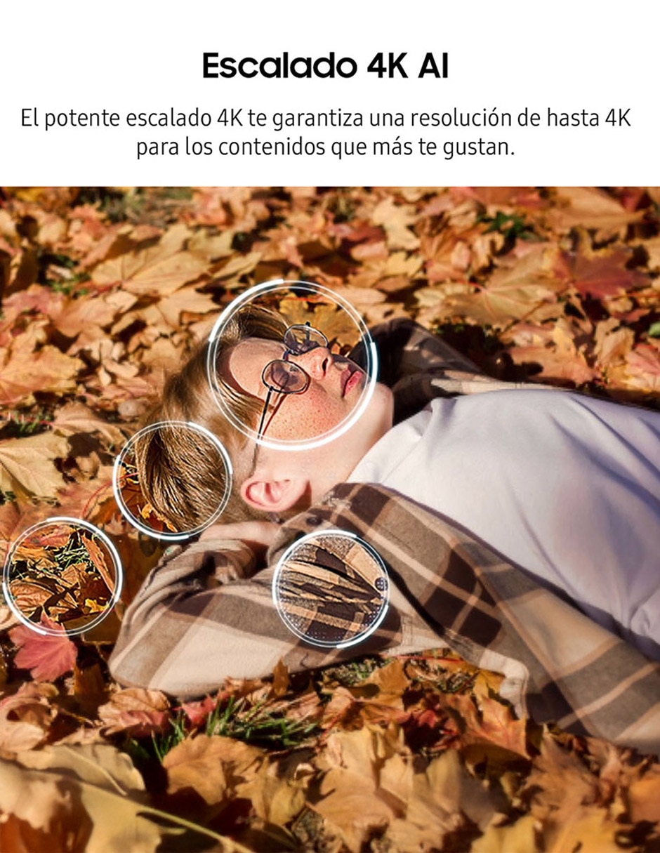 Pantalla Smart TV QLED de 43 pulgadas 4K QN43QEF1AFXZX 5