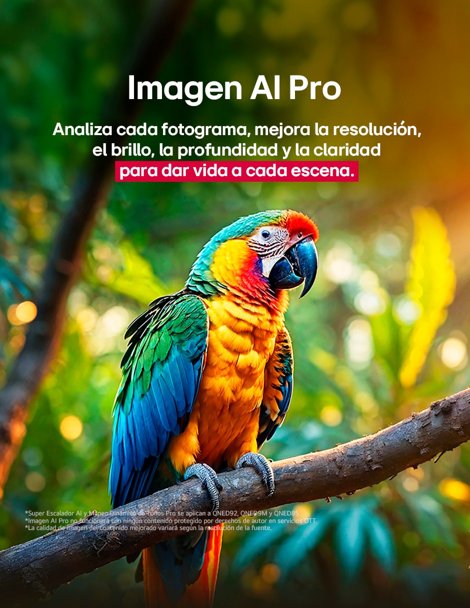 Pantalla Smart TV QNED de 85 pulgadas 4K/UHD 85QNED92ASA con evo AI 4