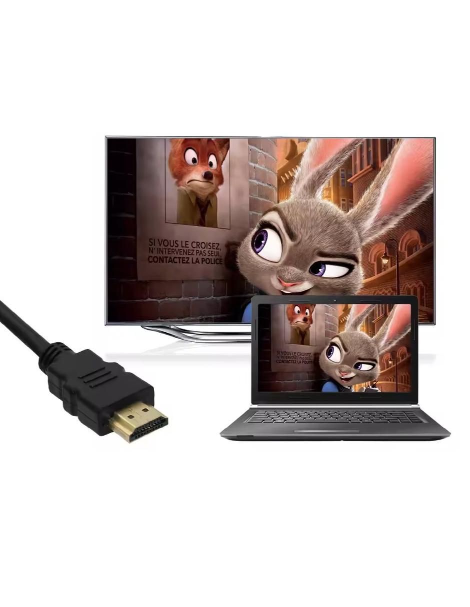 Cable HDMI de 20 m 3