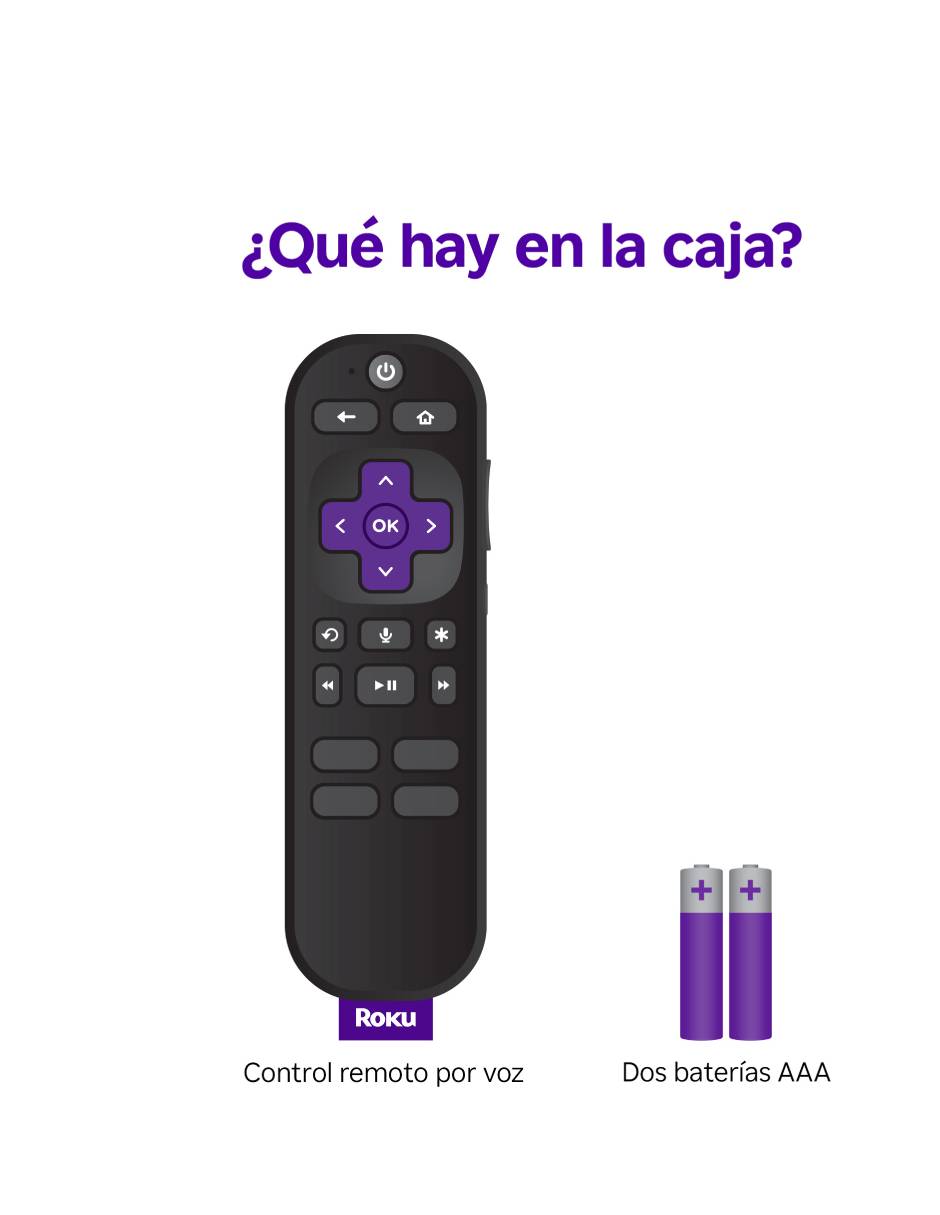 1 RCA1MX 5